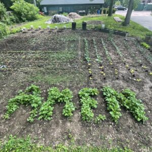 1st Annual Eden Plant Sale